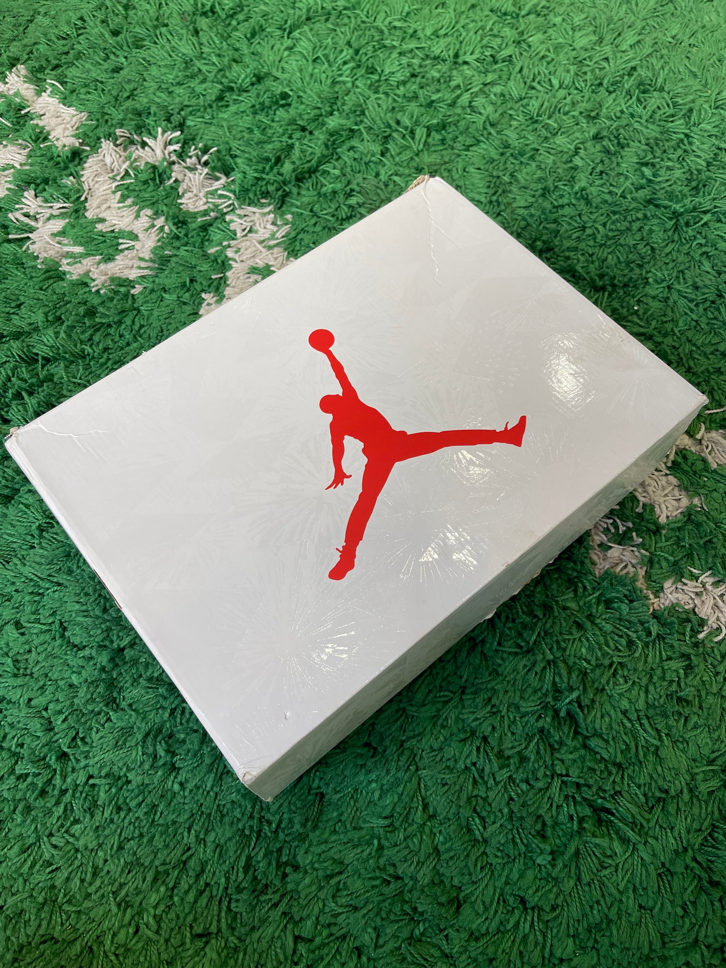 Jordan 6 “Olympic” (2024)