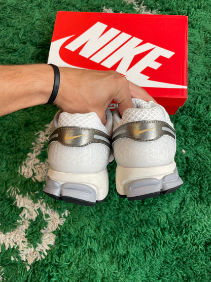 Nike Vomero “Platinum Tint”