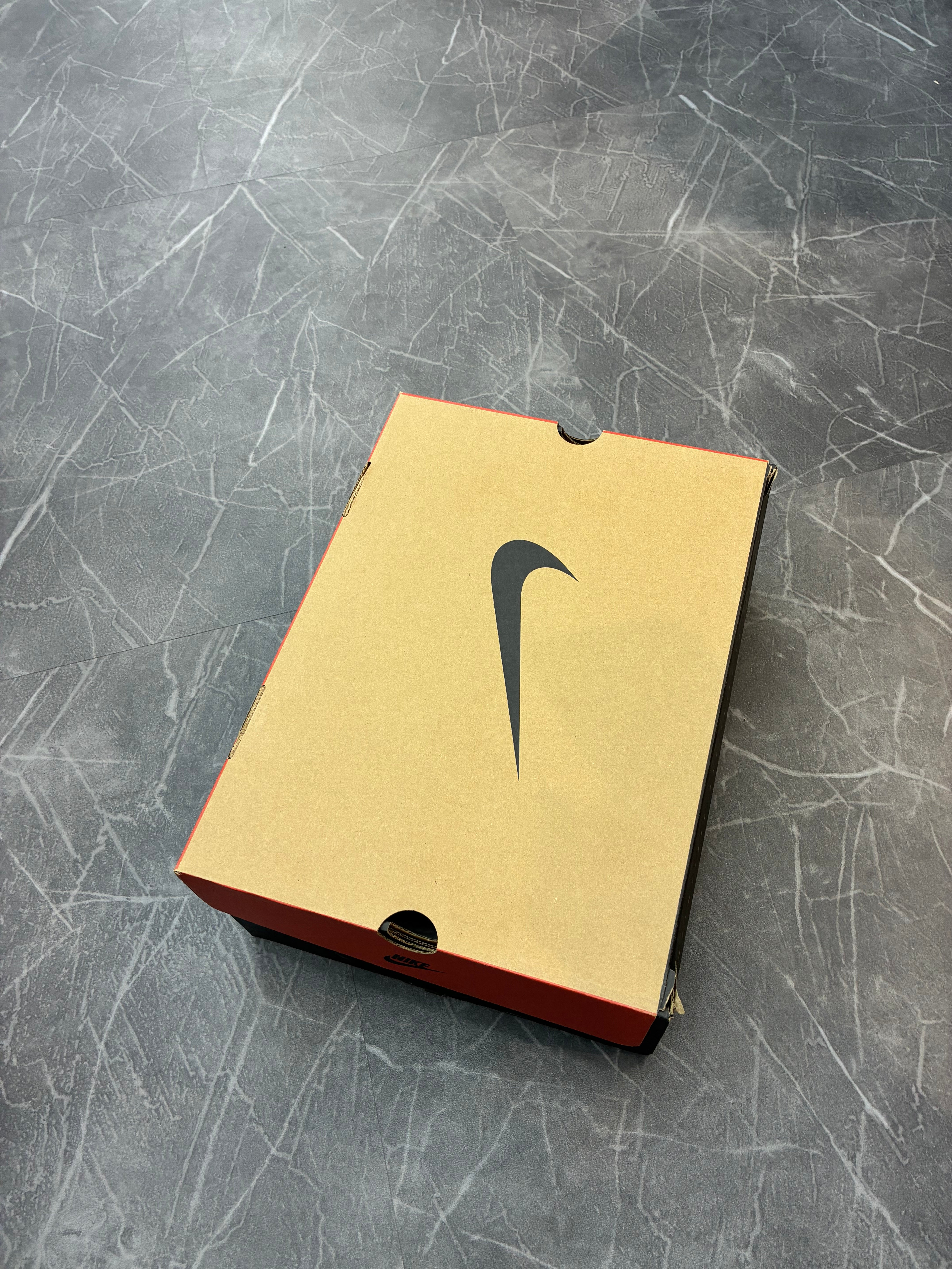 Jordan 12 “Flu Game”