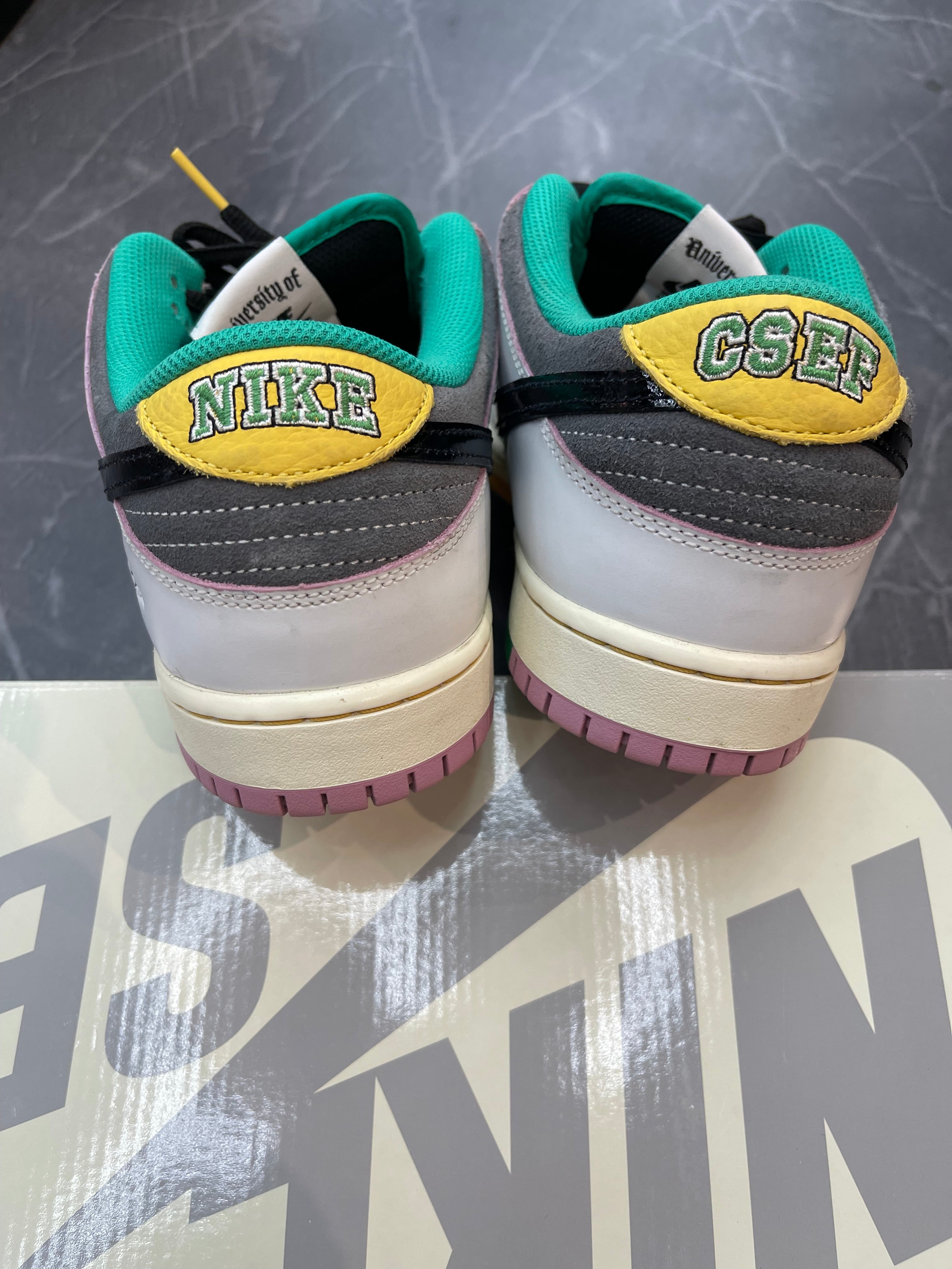 Nike Dunk SB “CSEF”