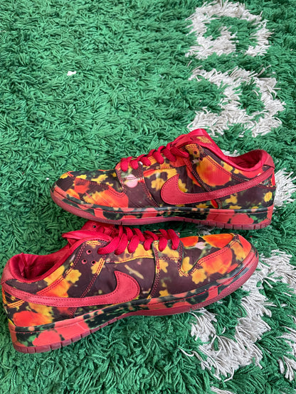 Nike Dunk Low SB “Wizard of Oz”