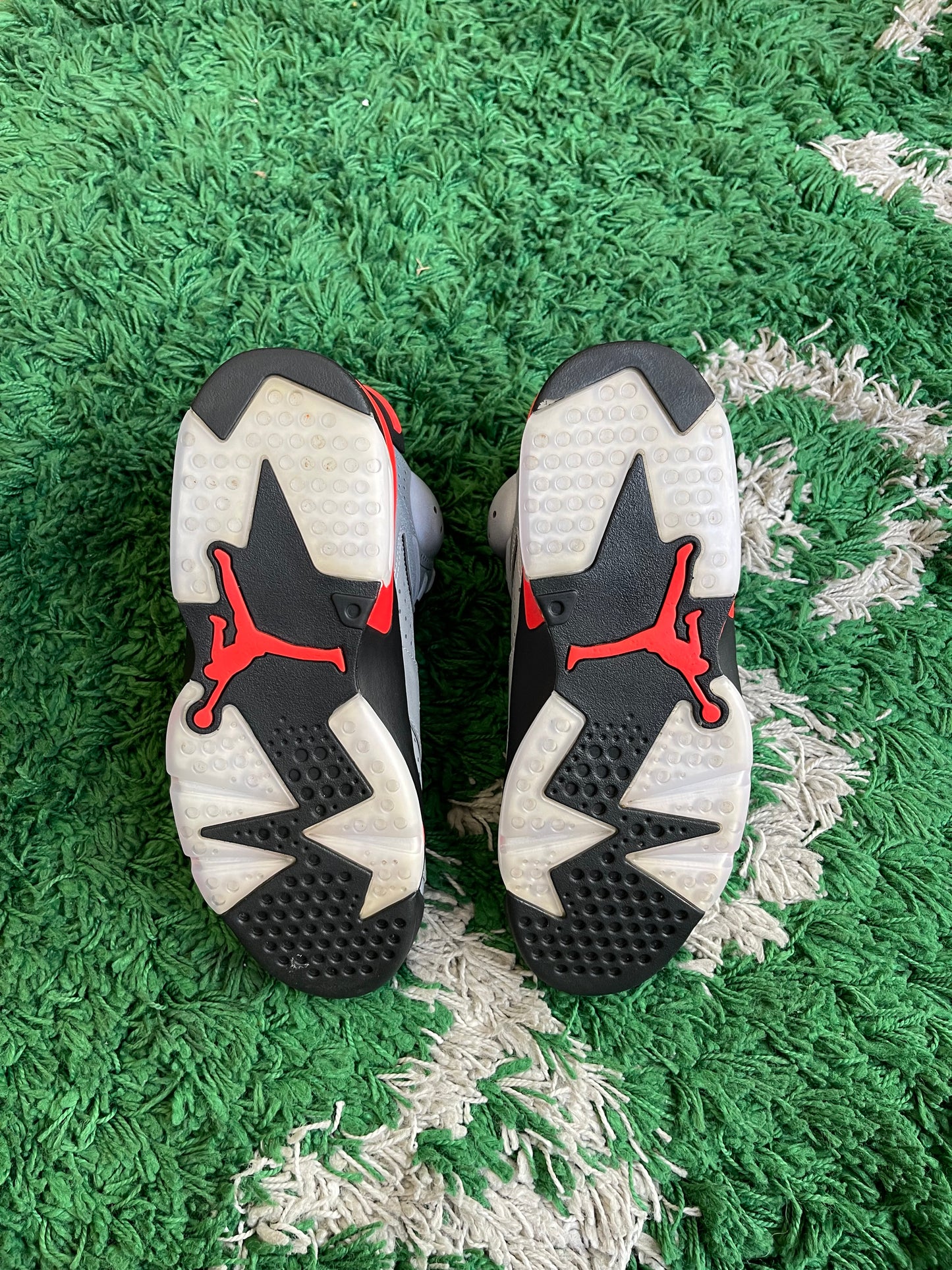 Jordan 6 “Reflections of a Champion”