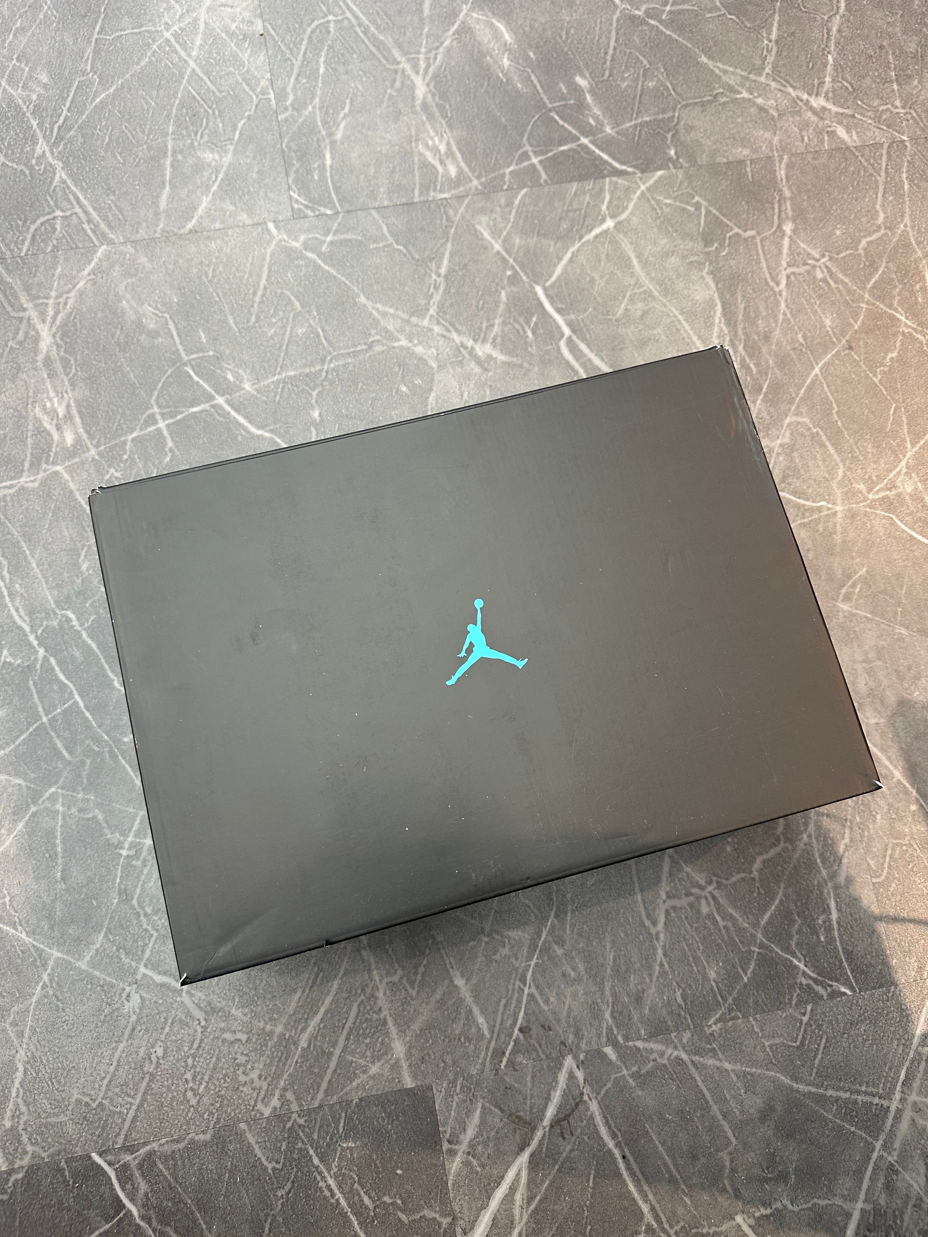 Jordan 11 “Gamma”
