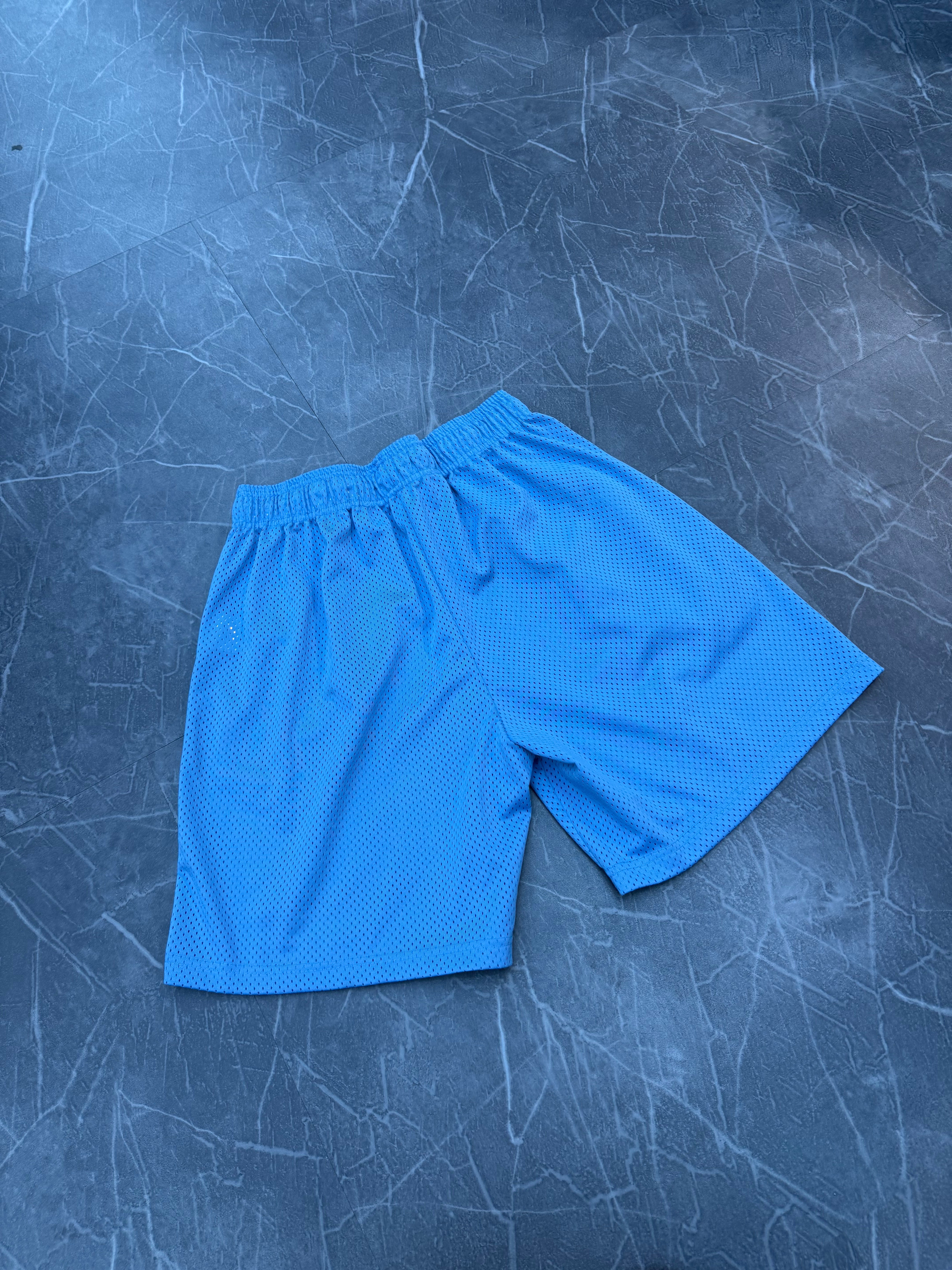 Eric Emanuel Shorts Light Blue
