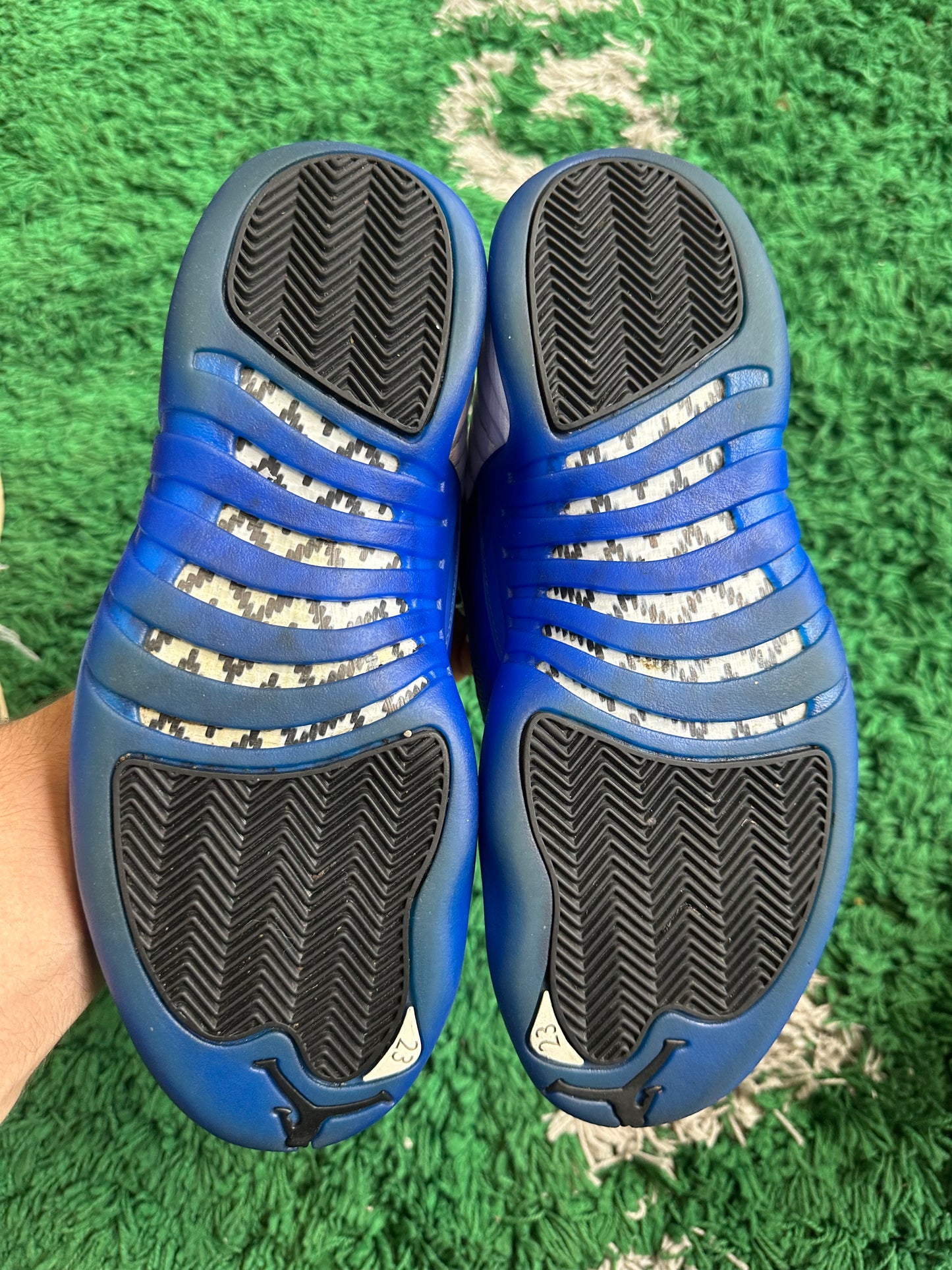 Jordan 12 “Blueberry”