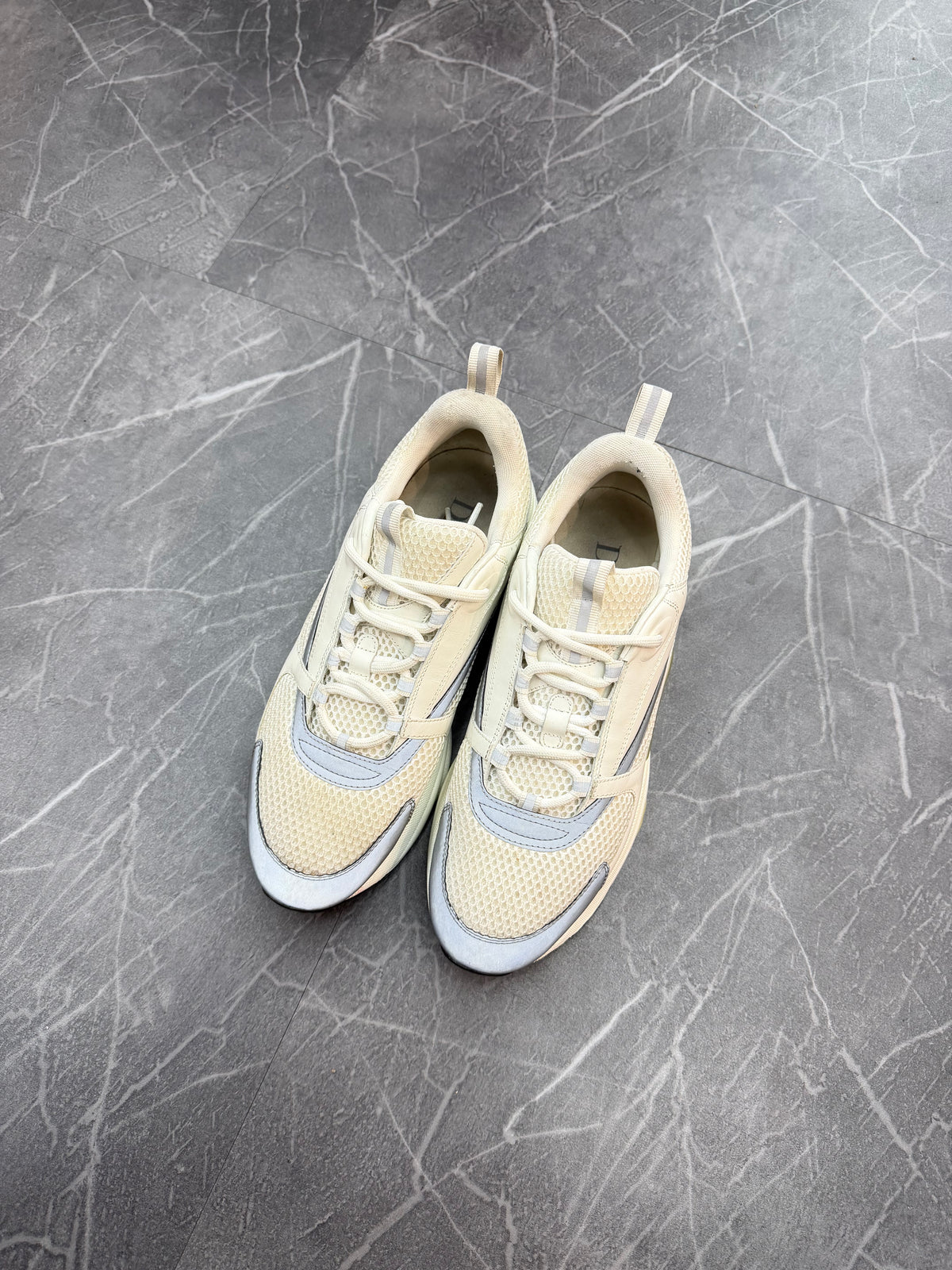 Dior B22 'White Grey'