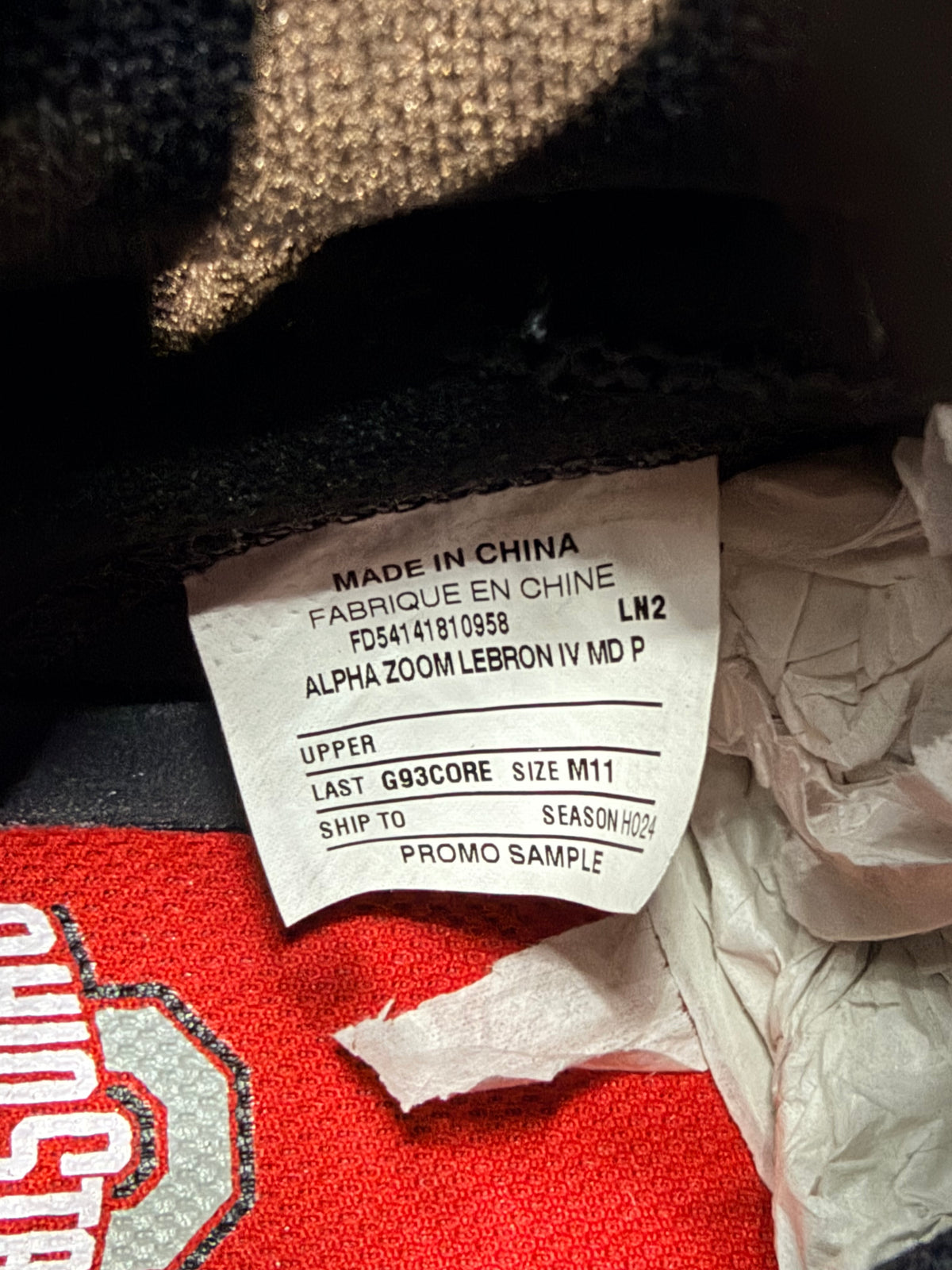 Nike Alpha Edge LeBron 4 Ohio State PE Eggplant