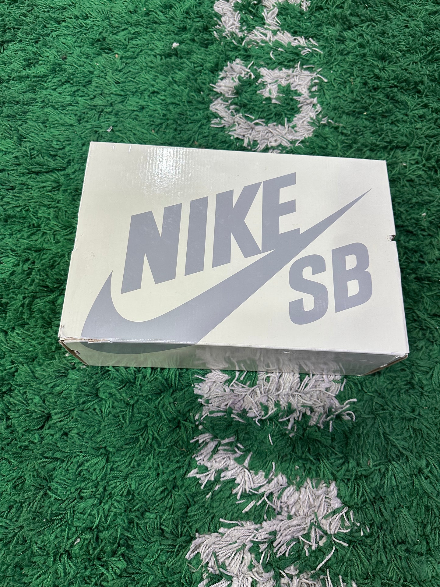 Nike Dunk Low “CSEF”