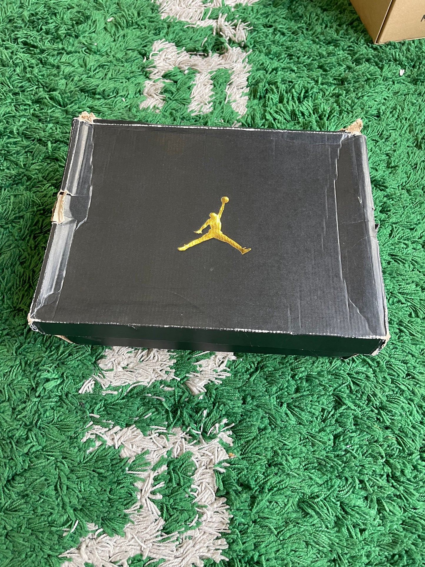 Jordan 10 “Charlotte”
