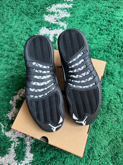 Jordan 12 “The Master”