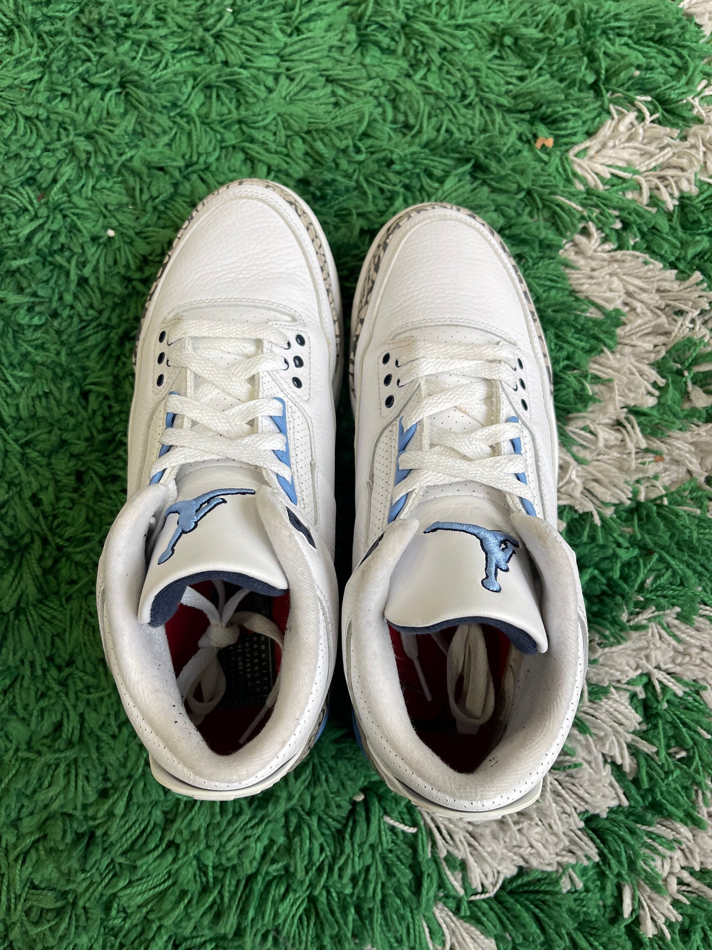 Jordan 3 “UNC”
