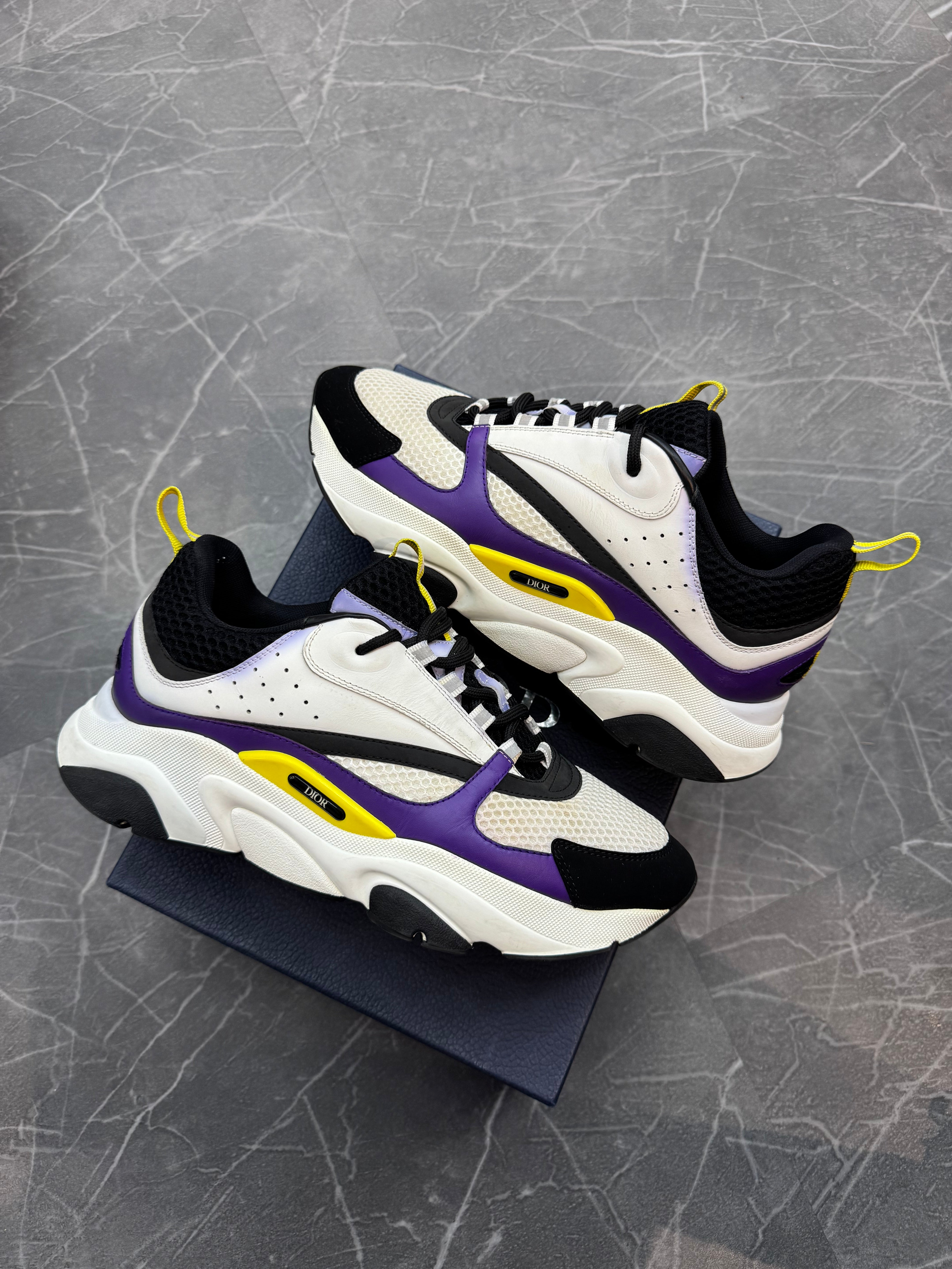 Dior B22 “Lakers”