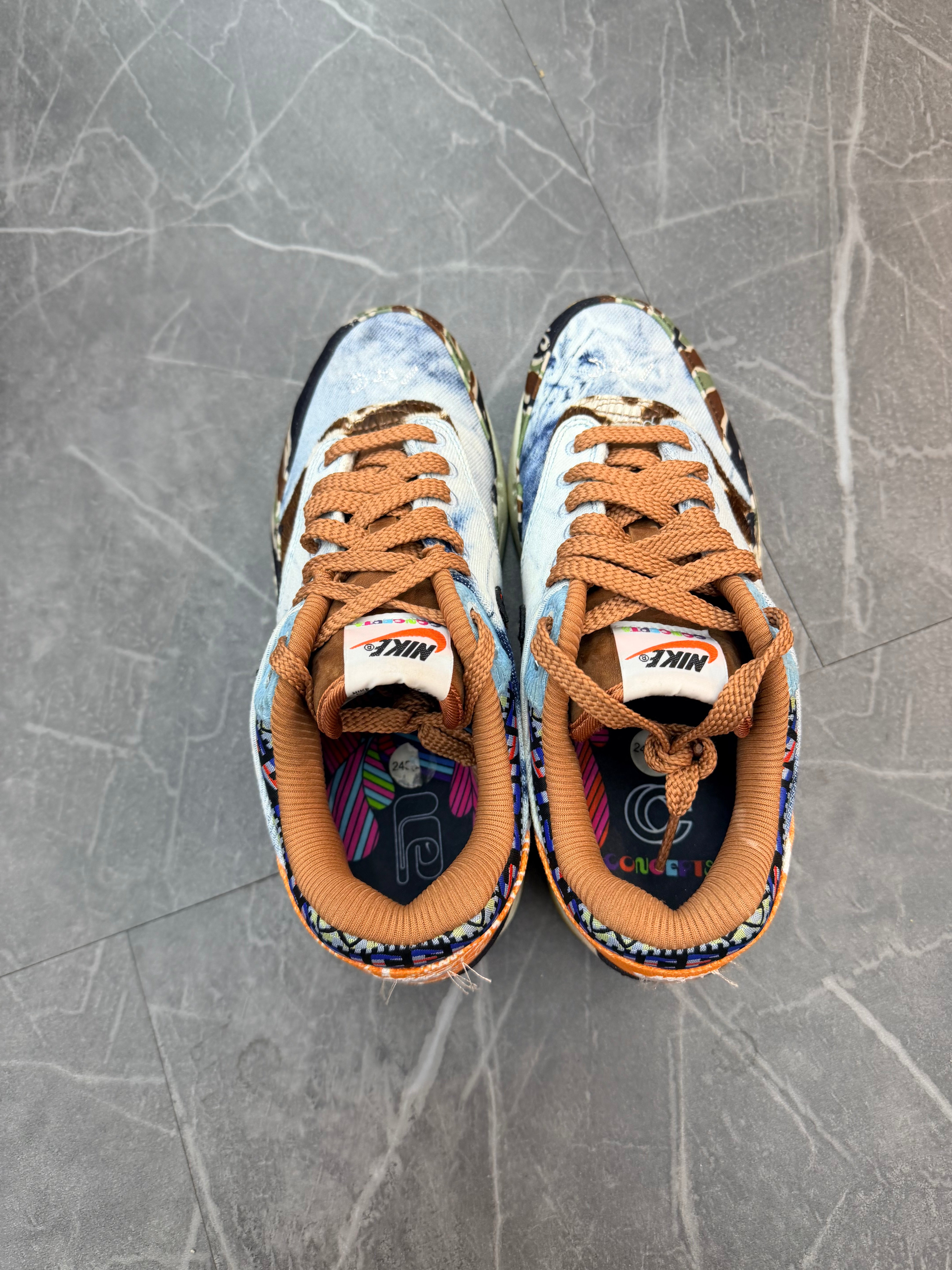Nike Air Max 1 SP “Concepts Heavy”