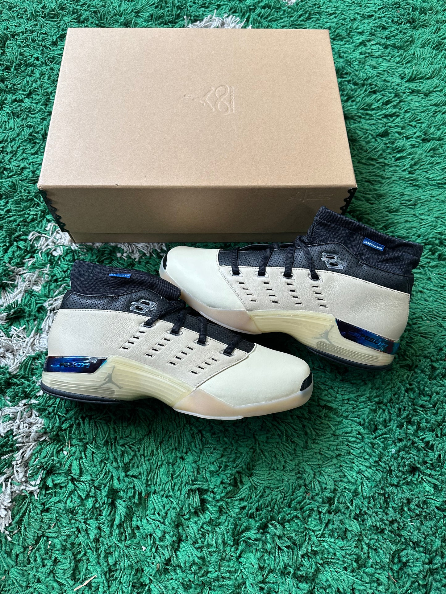 Jordan 17 “Infinite Archives”