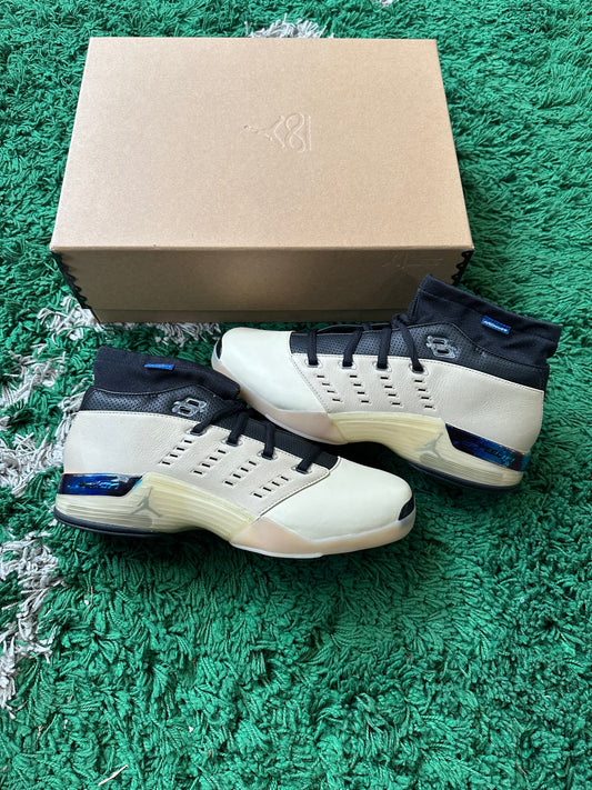 Jordan 17 “Infinite Archives”