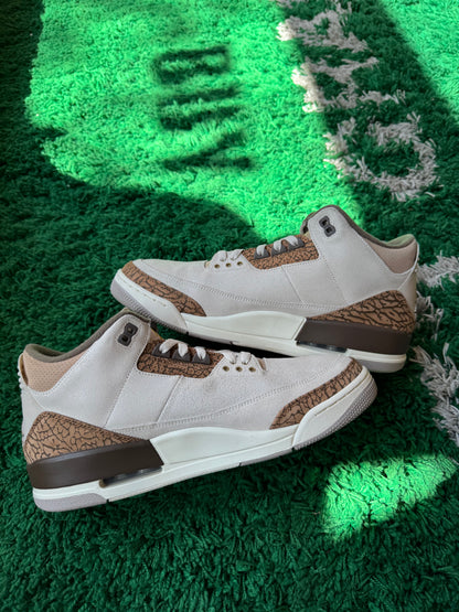 Jordan 3 “Palomino”