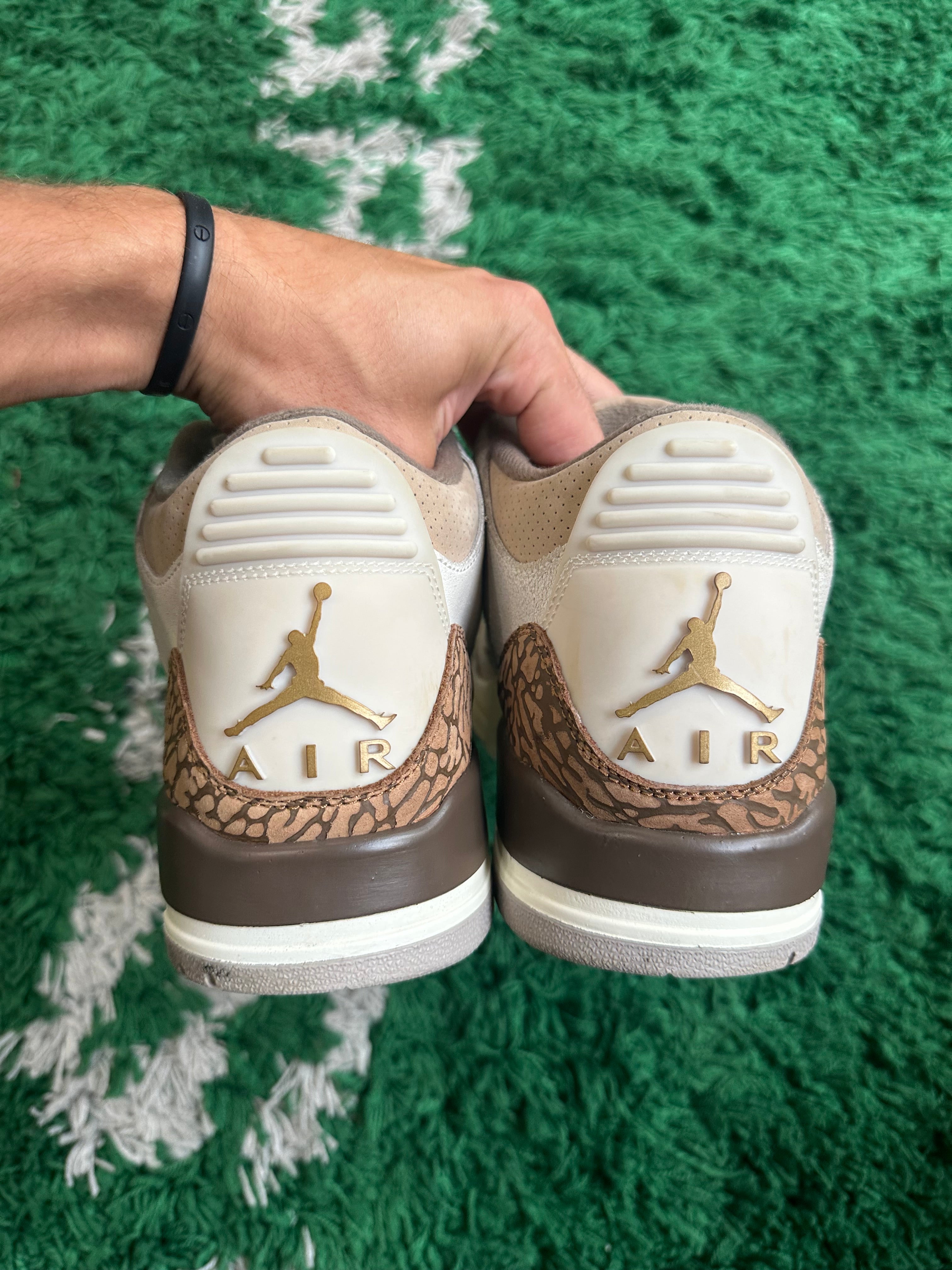 Jordan 3 “Palomino”