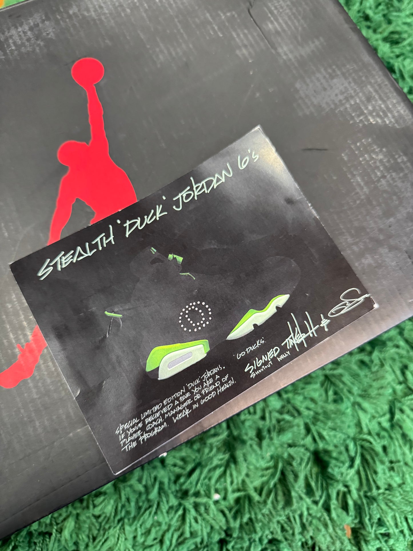 Jordan 6 PE Oregon “Stealth Ducks”