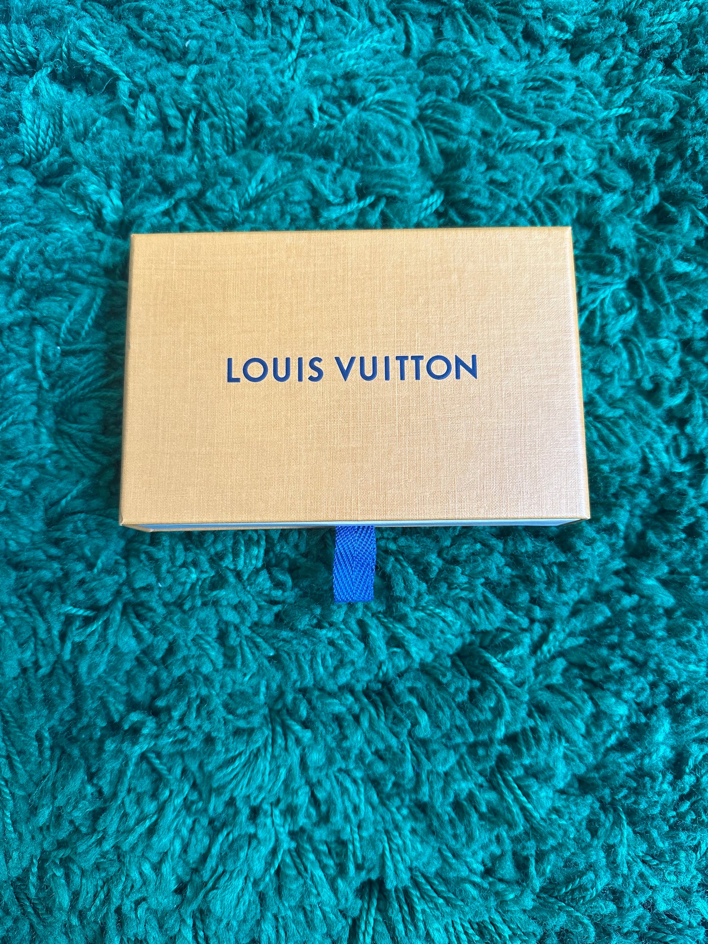 Louis Vuitton Card Holder “Black”
