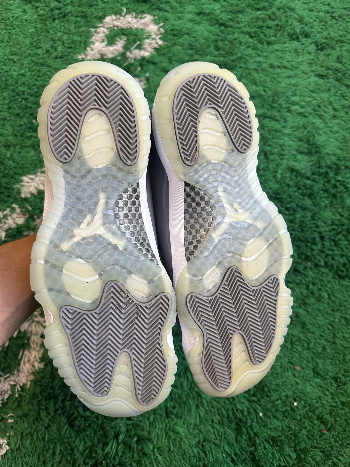 Jordan 11 “Cool Grey”