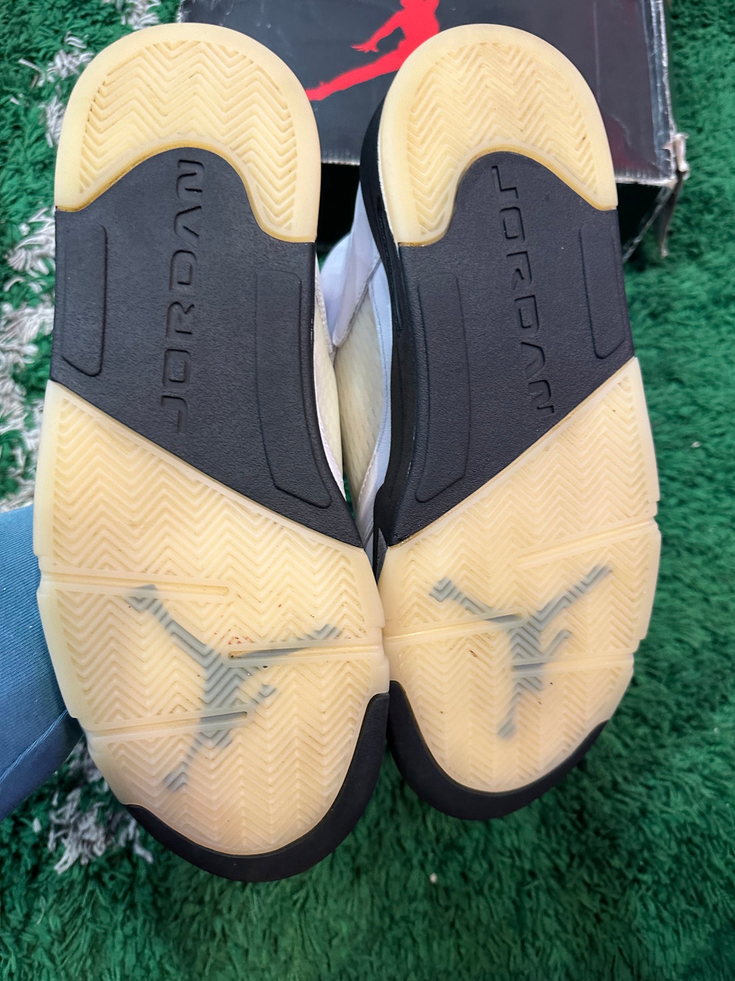 Jordan 5 “Reverse Metallic”