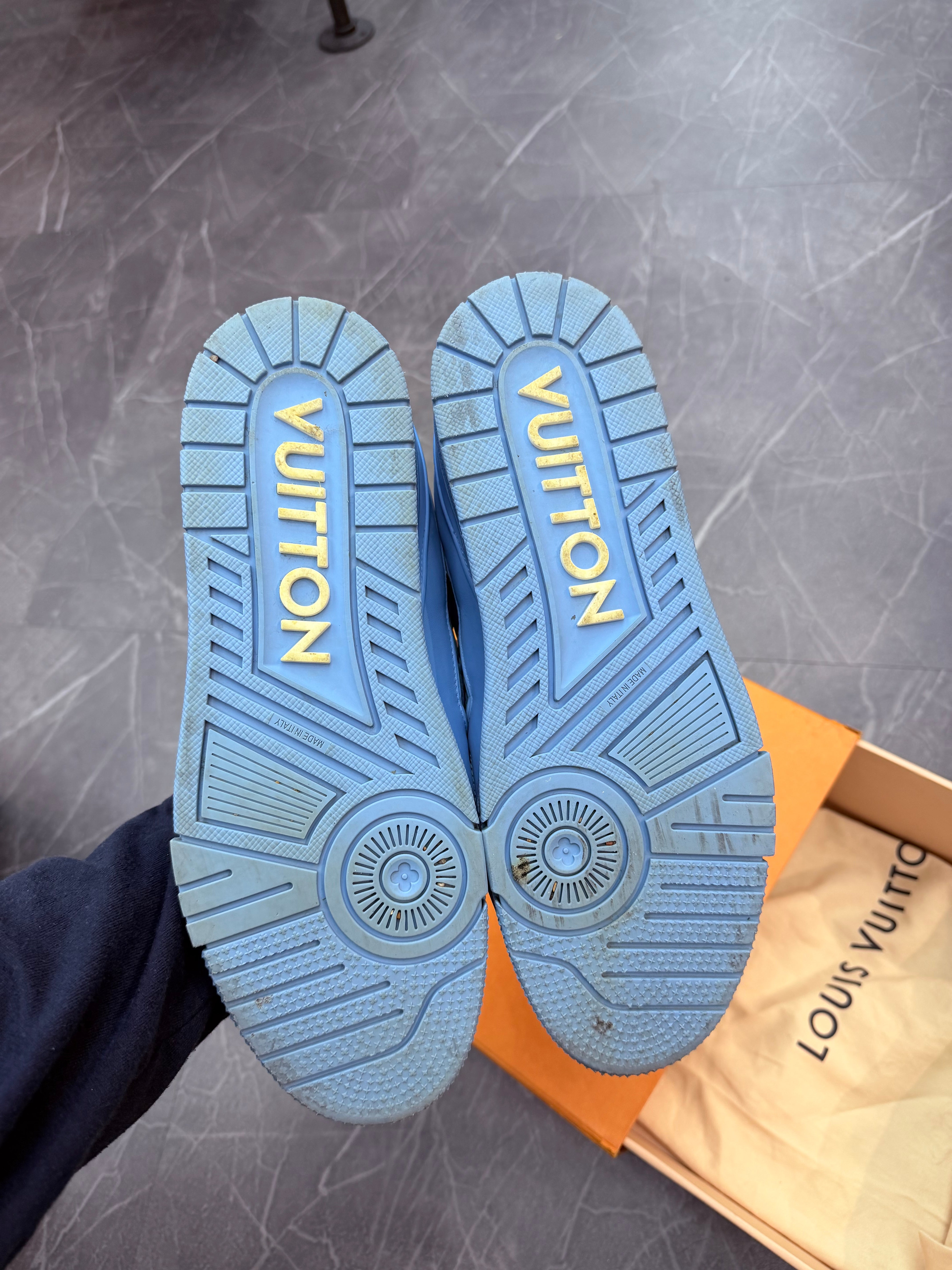 Louis Vuitton Trainer Low Light Blue