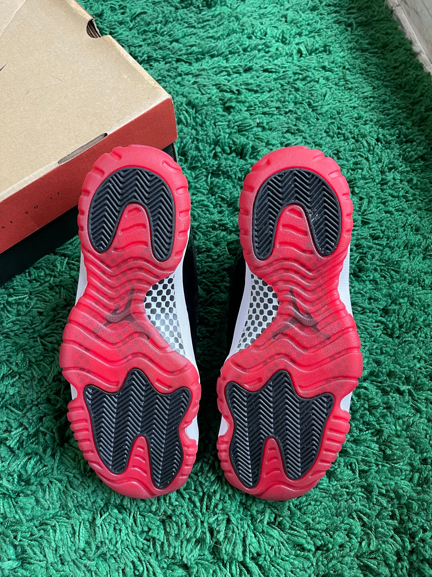 Jordan 11 “Bred” (2019)