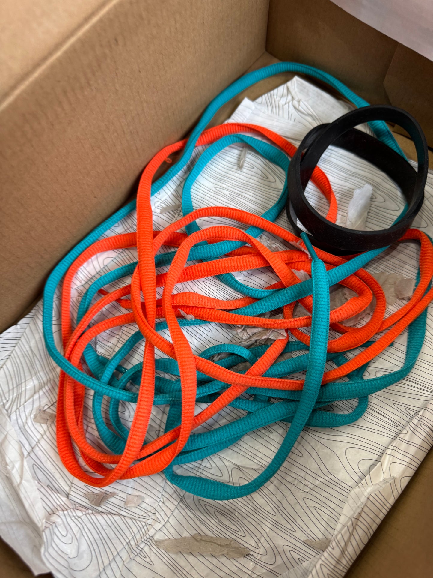 Nike Dunk Low SB “Orange Lobster”