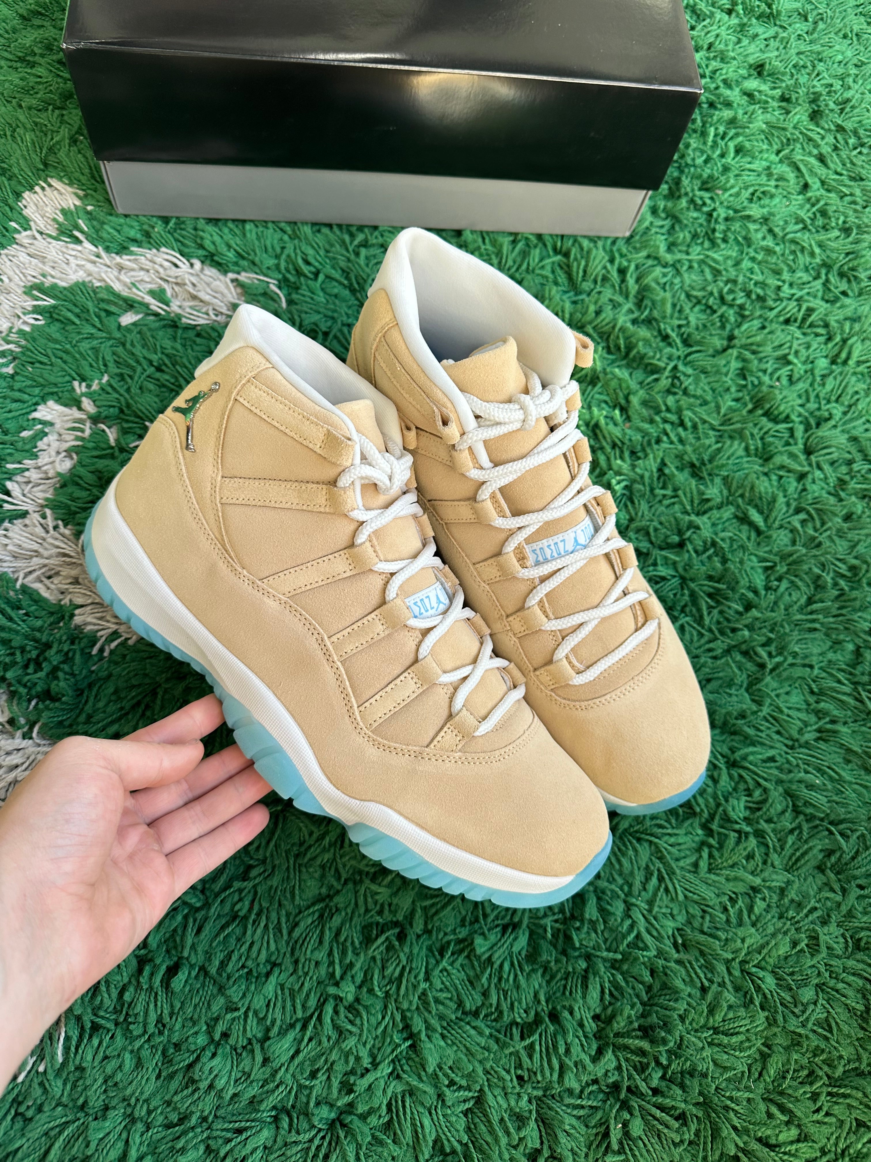 Jordan 11 “H-Town”