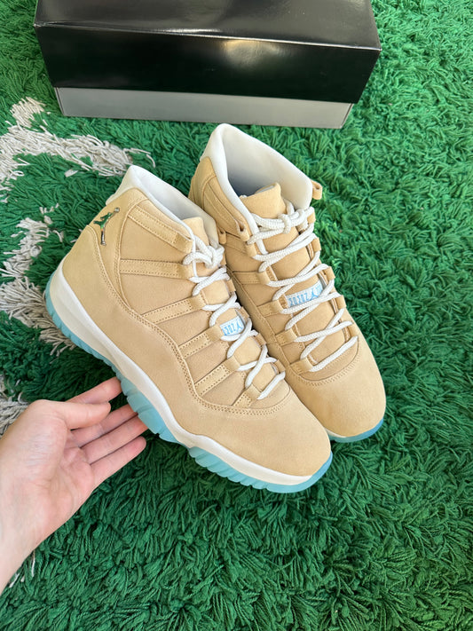 Jordan 11 “H-Town”