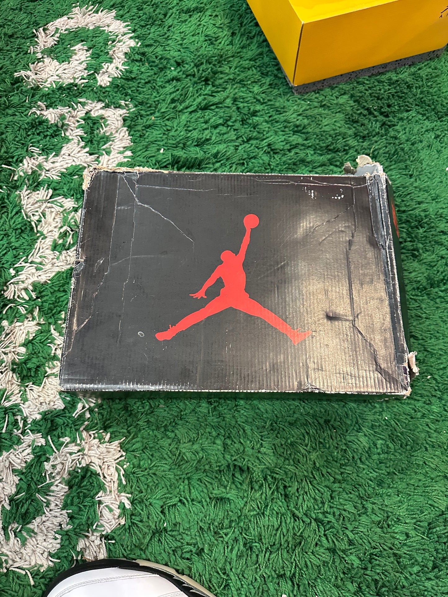 Jordan 5 “Reverse Metallic”