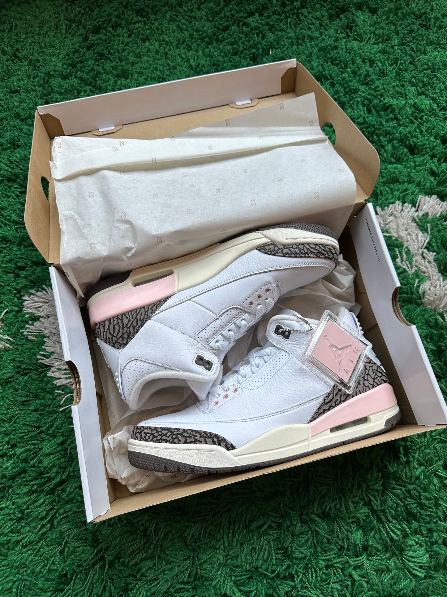 Jordan 3 “Neapolitan”