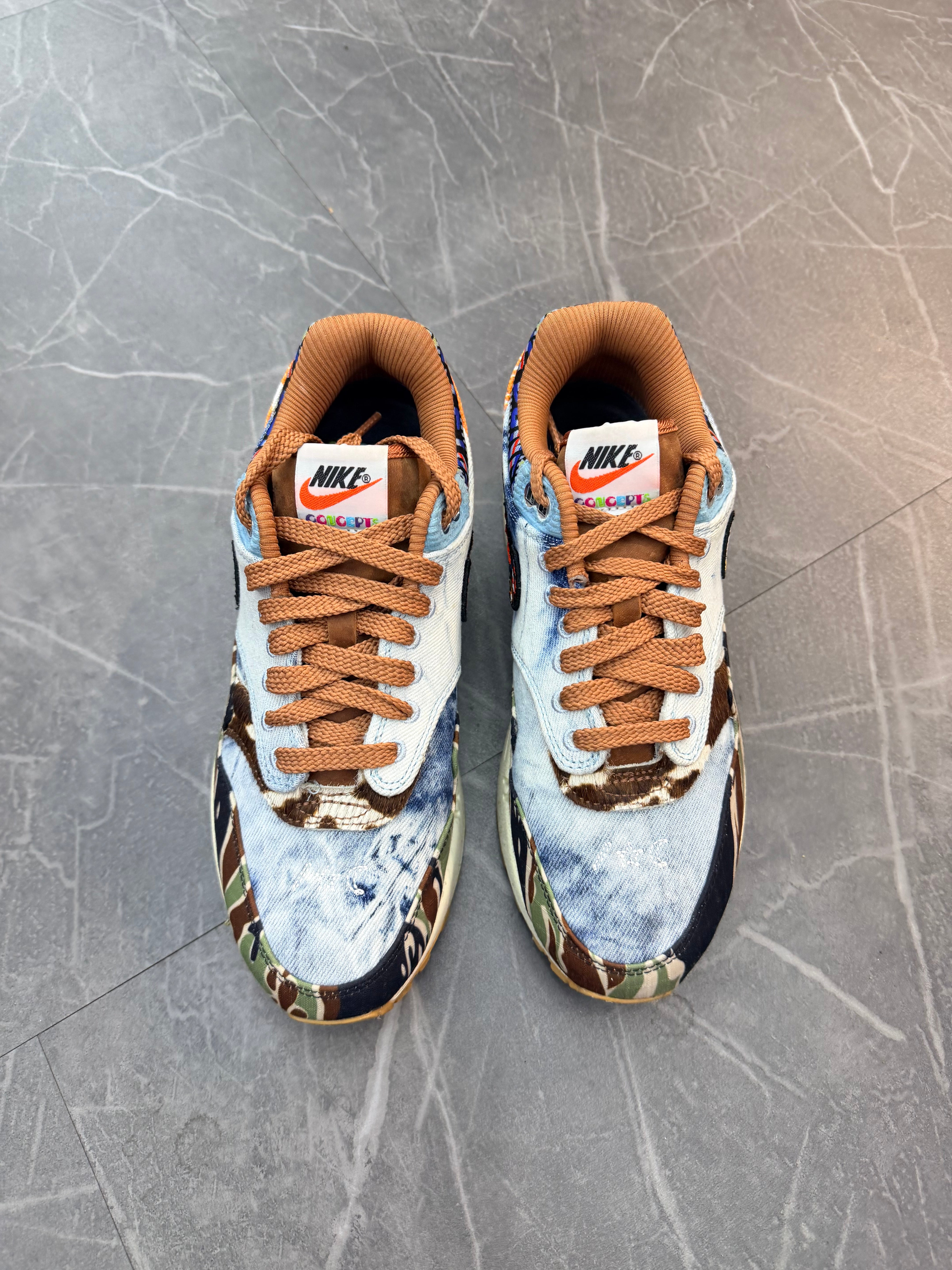 Nike Air Max 1 SP “Concepts Heavy”