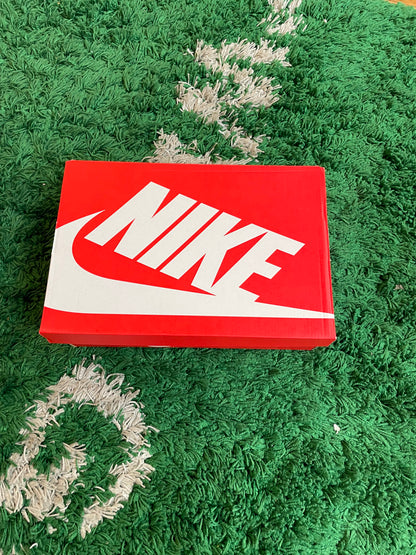 Nike Vomero “Platinum Tint”