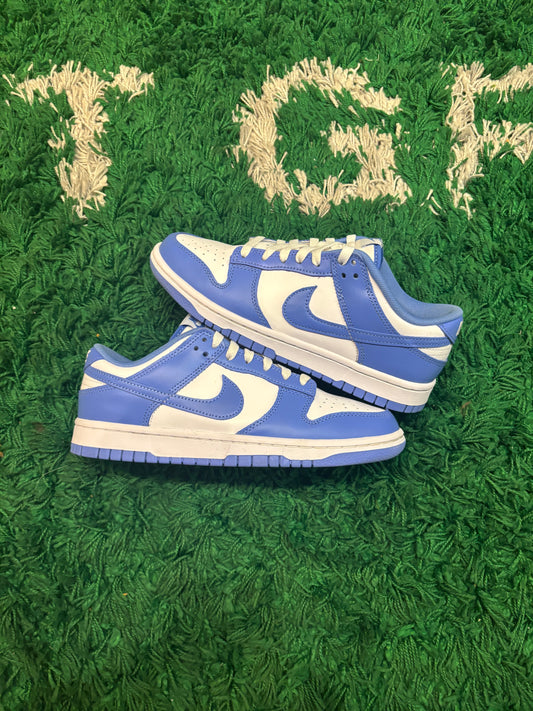 Nike Dunk Low “Polar Blue”