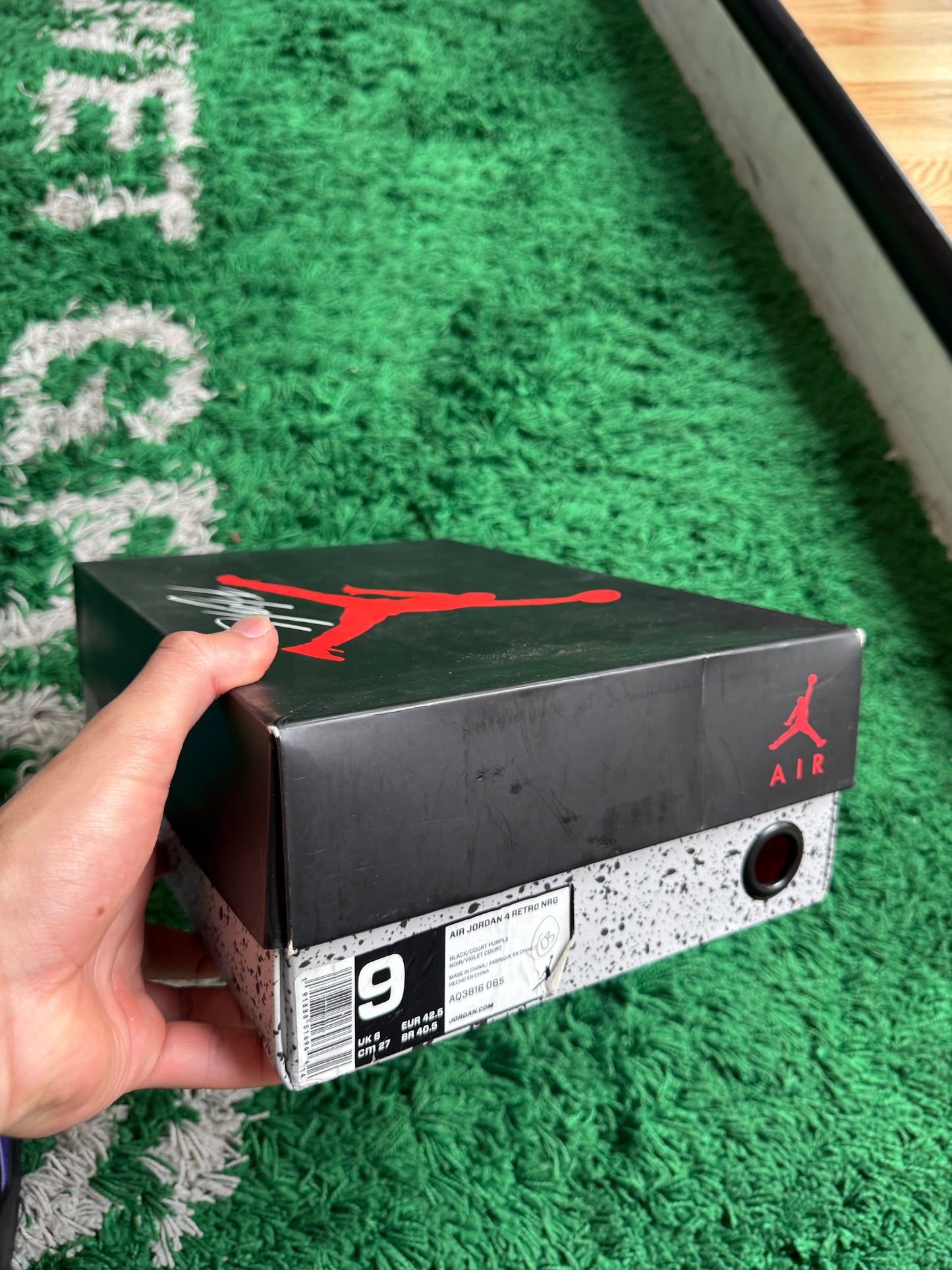 Jordan 4 NRG “Raptors”