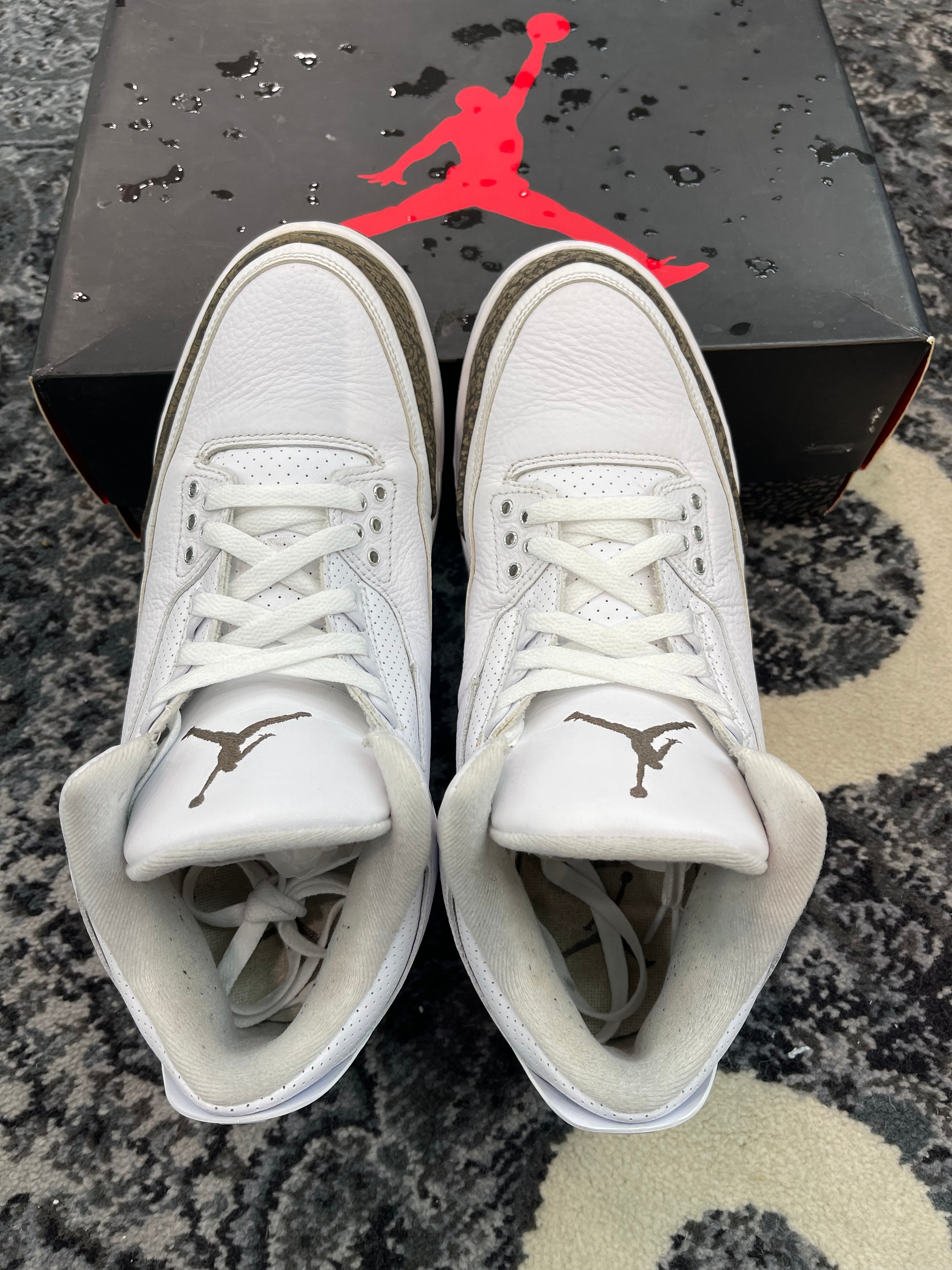 Jordan 3 “Mocha” (2018)