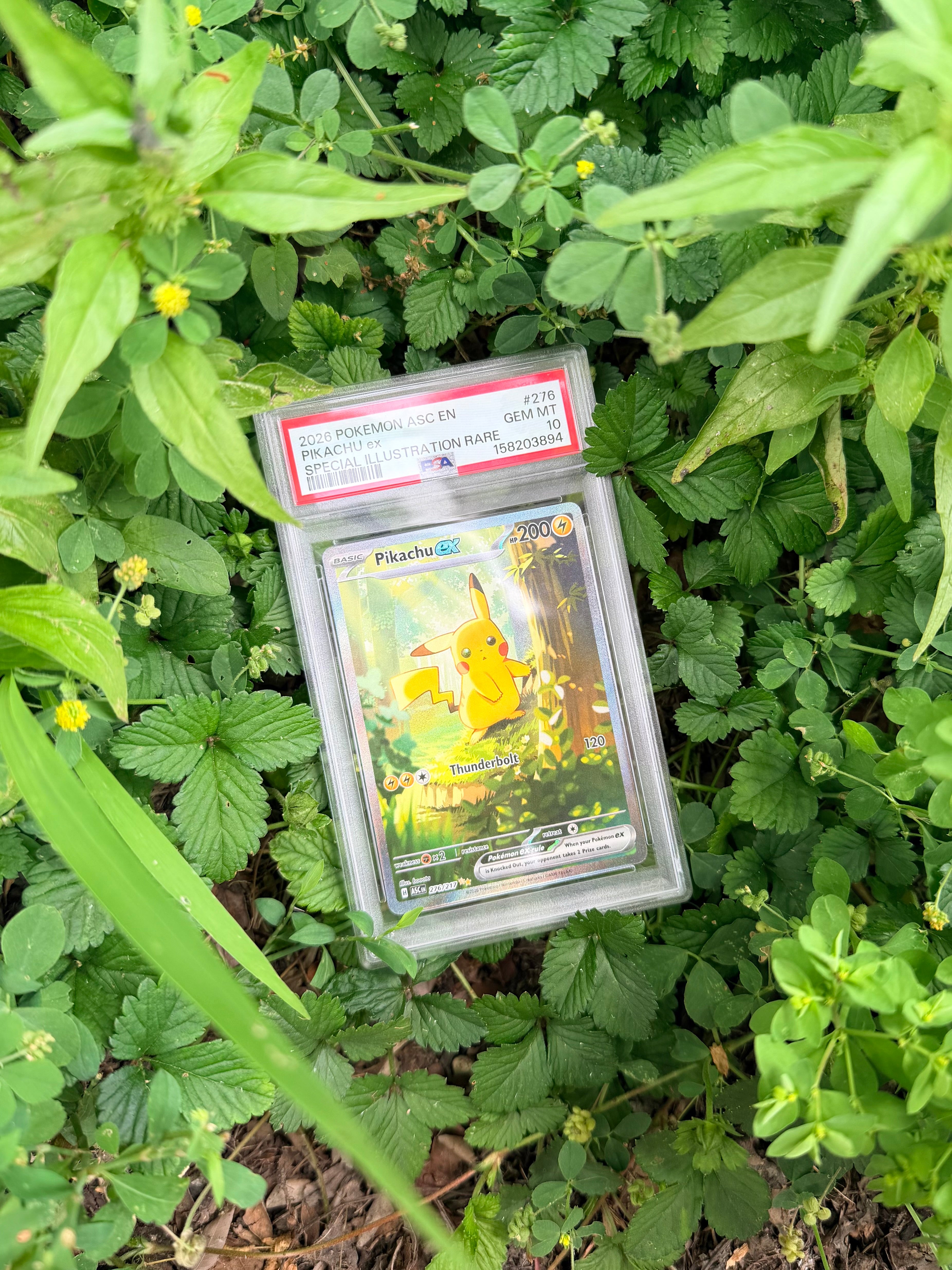 Pikachu EX SIR #279