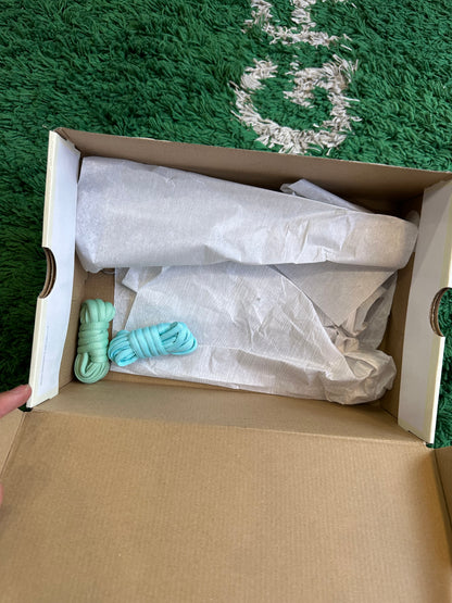 Nike Dunk Low SB “Verdy Visty”