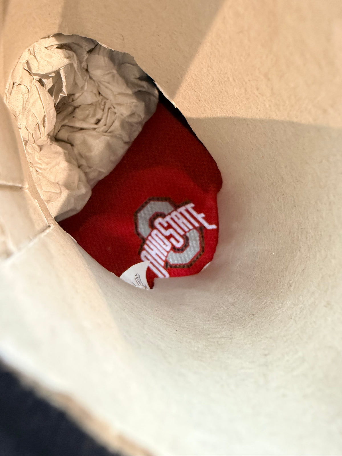 Nike Alpha Edge LeBron 4 Ohio State PE Eggplant