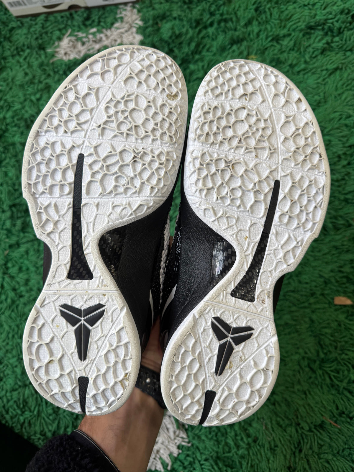 Nike Kobe 6 Protro “Mambacita” (Size 8) (Lightly Worn) - Image 5