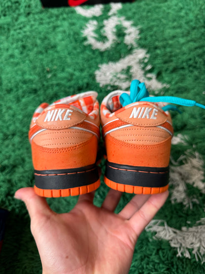 Nike Dunk Low SB “Orange Lobster”