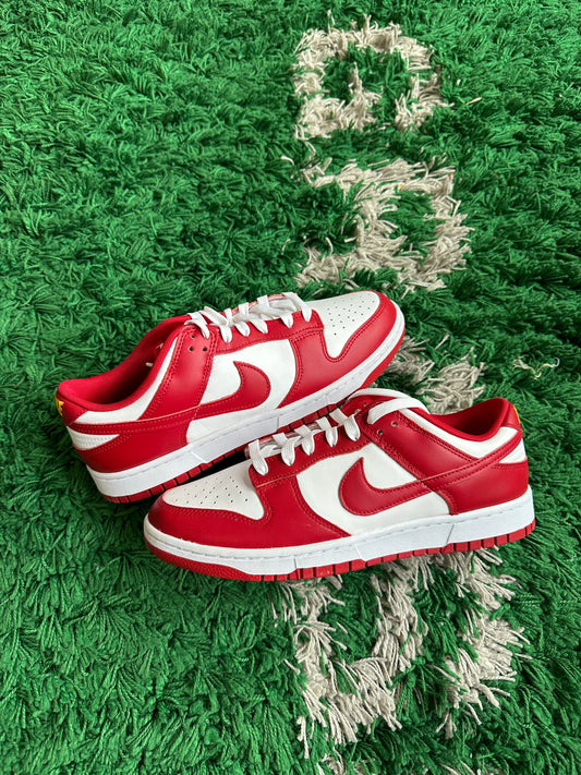 Nike Dunk Low “USC”