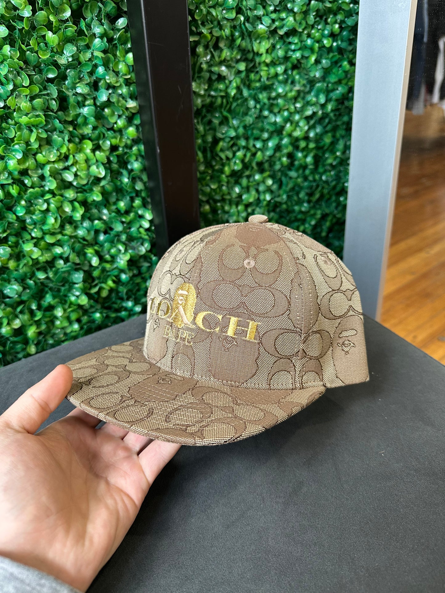 Bape x Coach Hat
