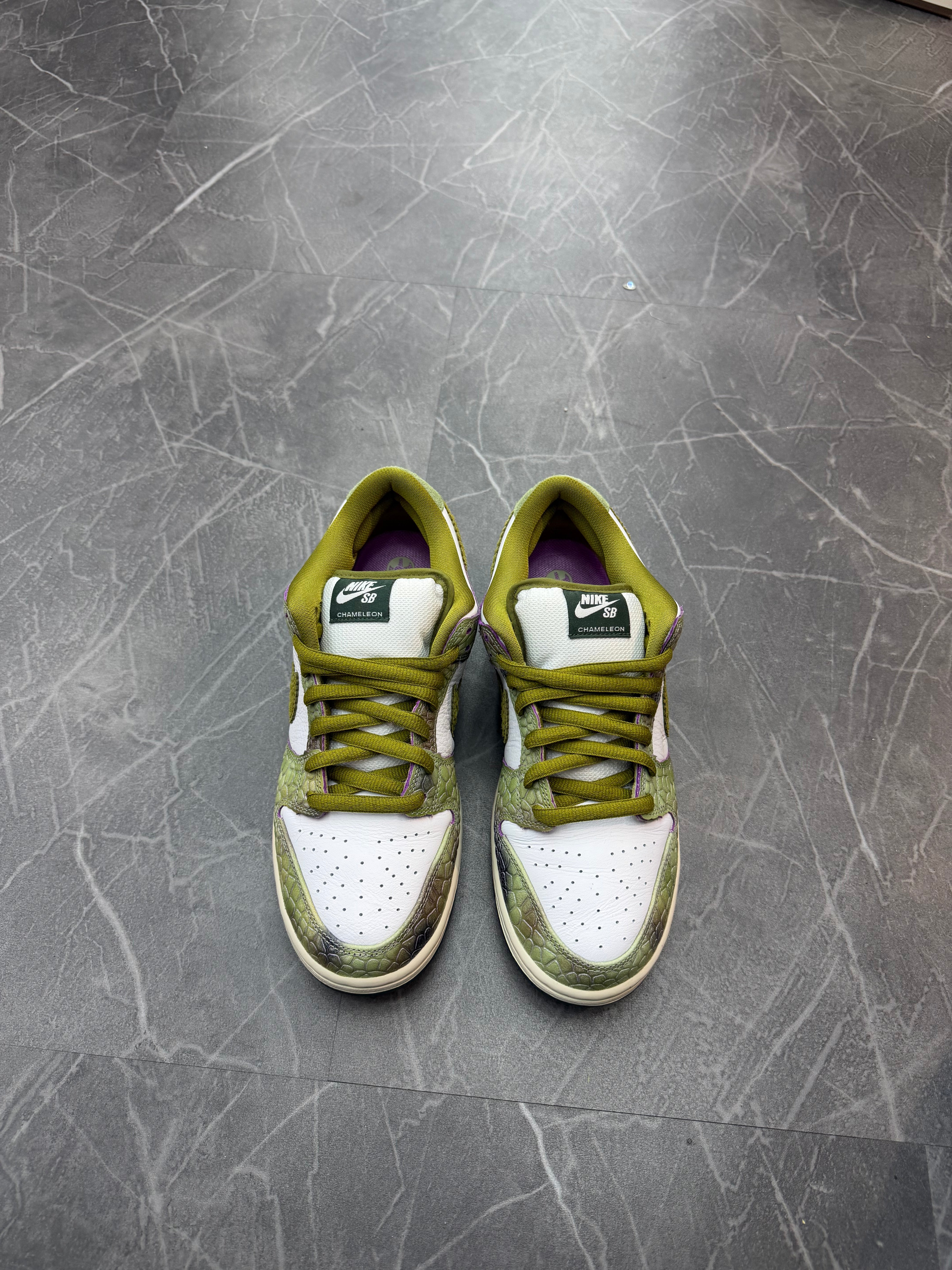 Nike SB Dunk Low “Chameleon”