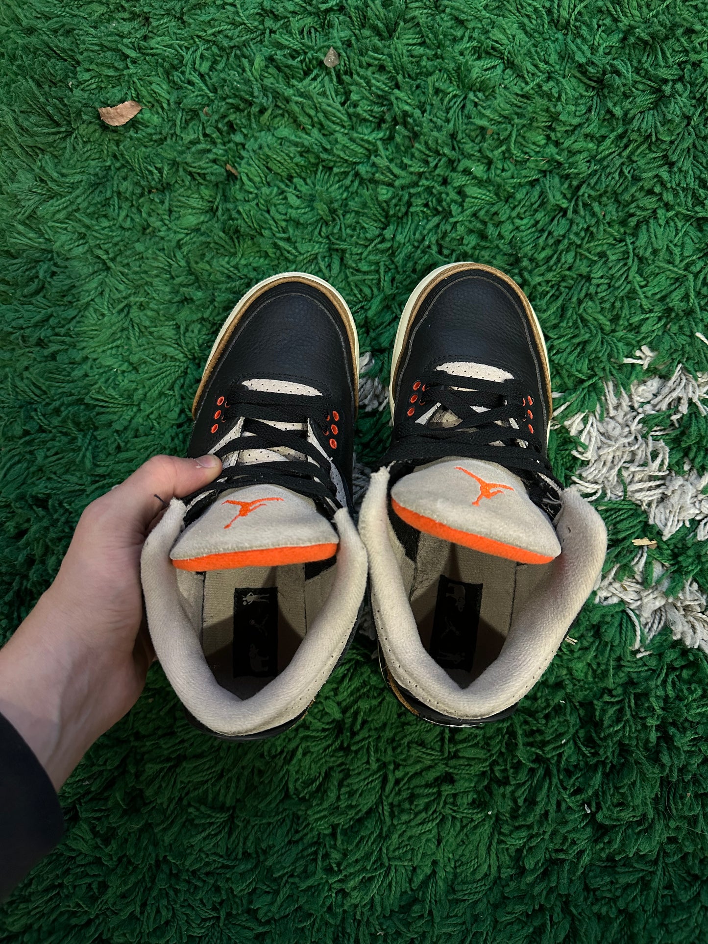 Jordan 3 “Desert Elephant”