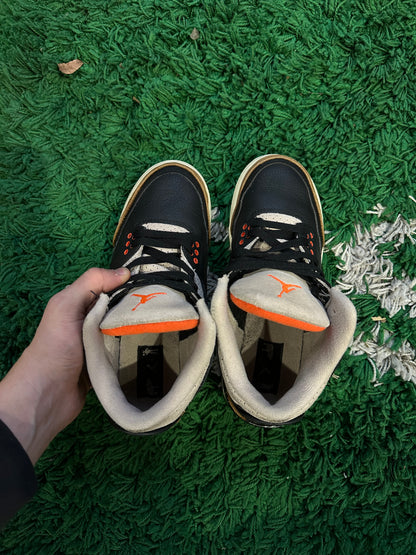 Jordan 3 “Desert Elephant”