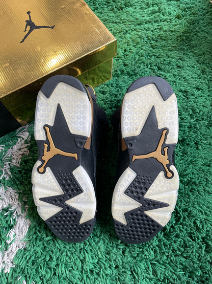 Jordan 6 “DMP”