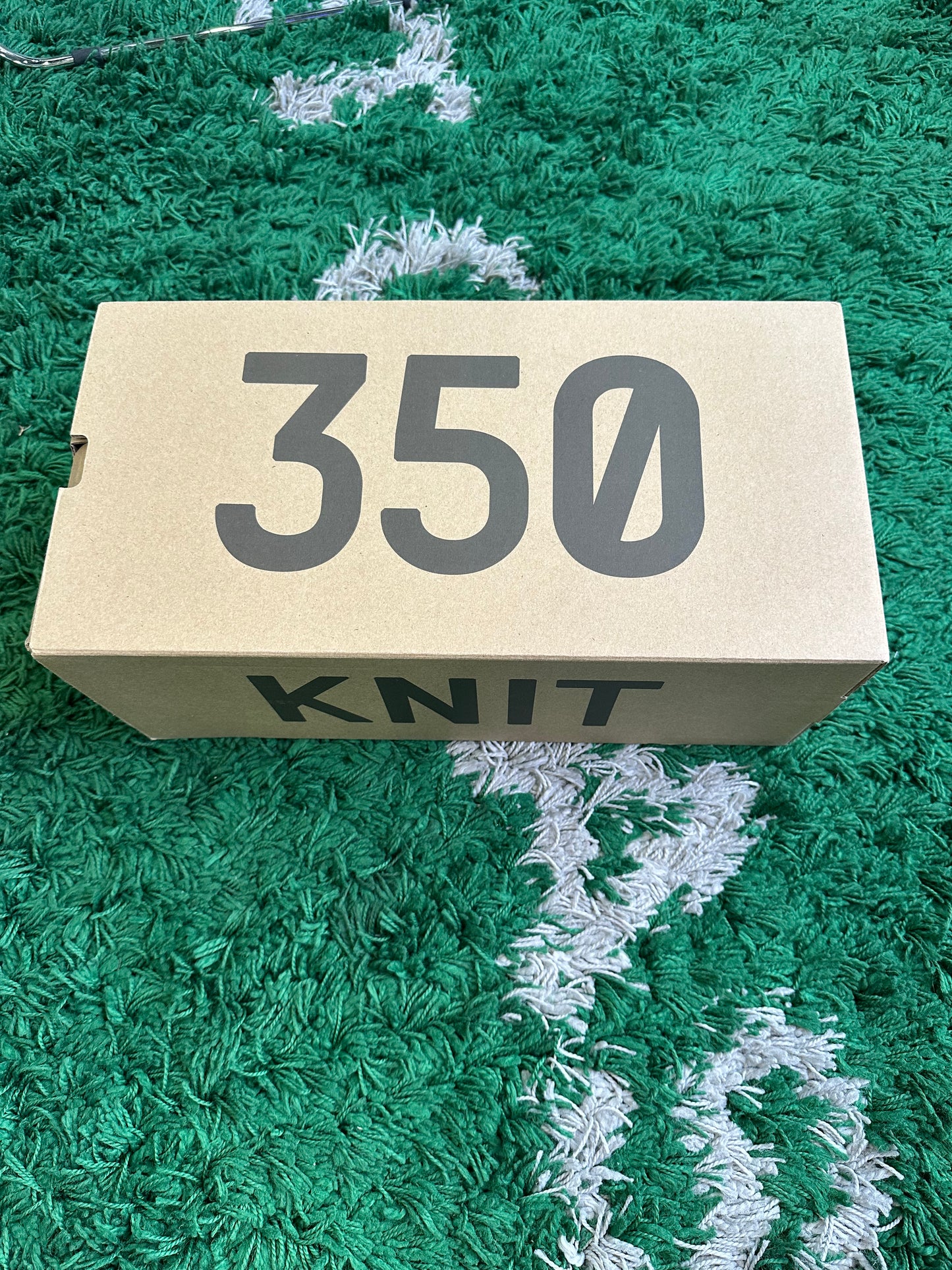 Yeezy 350 V2 CMPCT “Slate Panda”