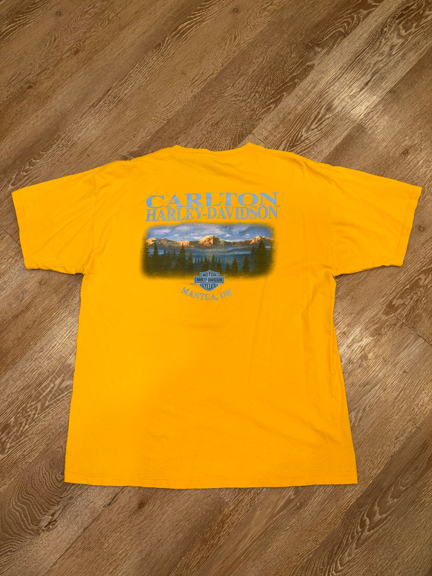 2002 Harley Davidson Eagle Tee (L)